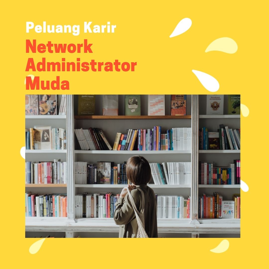 peluang kerja network administrator muda